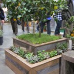 SF Flower & Garden Show